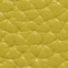 KM218-Duo Crossbody Bag-Lime Slice