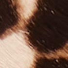 S_KN018_001.jpg